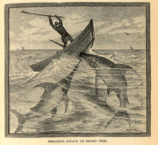 Illustration for article titled This gruesome 1889 biology book outlined the many ways animals will kill us